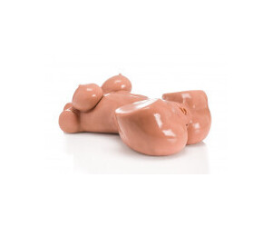 Zenn Sharon Real Life Sex Doll Torso Ab Preisvergleich Bei