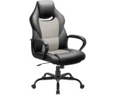 BASETBL Office Desk Chair Racing Style (F003) grau