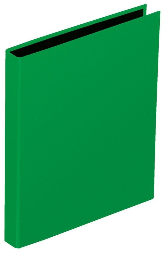 PAGNA Ringbuch A4 20mm 2 Ringe grün (20607-05)