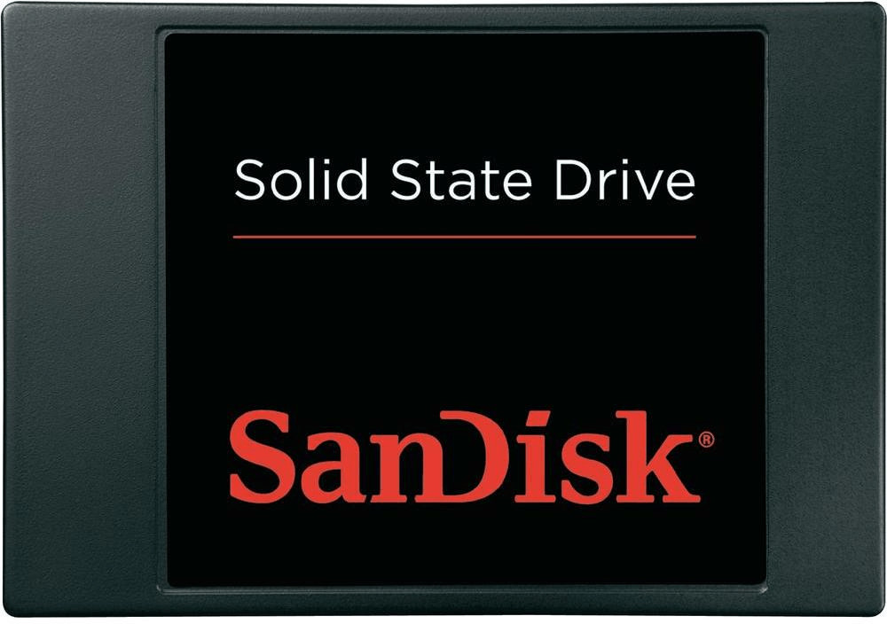 SanDisk 256GB SATA III