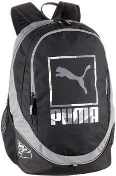 puma echo