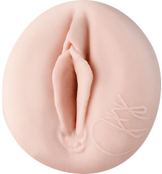 Fleshlight Girls Jenna Haze Pussy Obsession Desde Compara