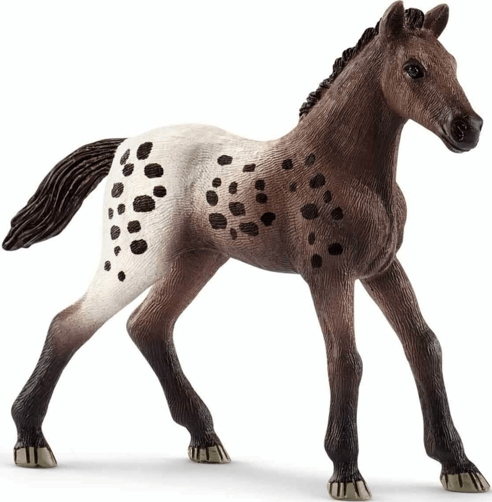 Schleich Appaloosa foal (13862)