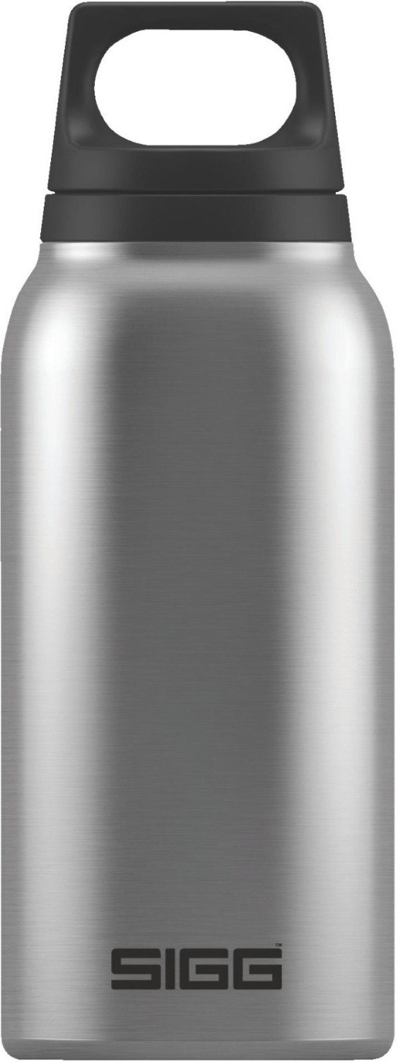 SIGG Hot Cold One Brushed Ab Preisvergleich Bei Idealo De