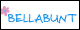 offer.shopinfo.name Logo