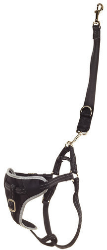 Trixie Harnais de voiture pour chien M Trixie Harnais de voiture pour chien M