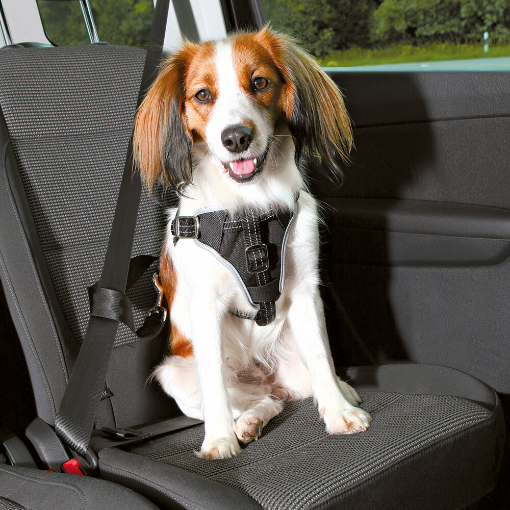 Trixie Harnais de voiture pour chien M Trixie Harnais de voiture pour chien M
