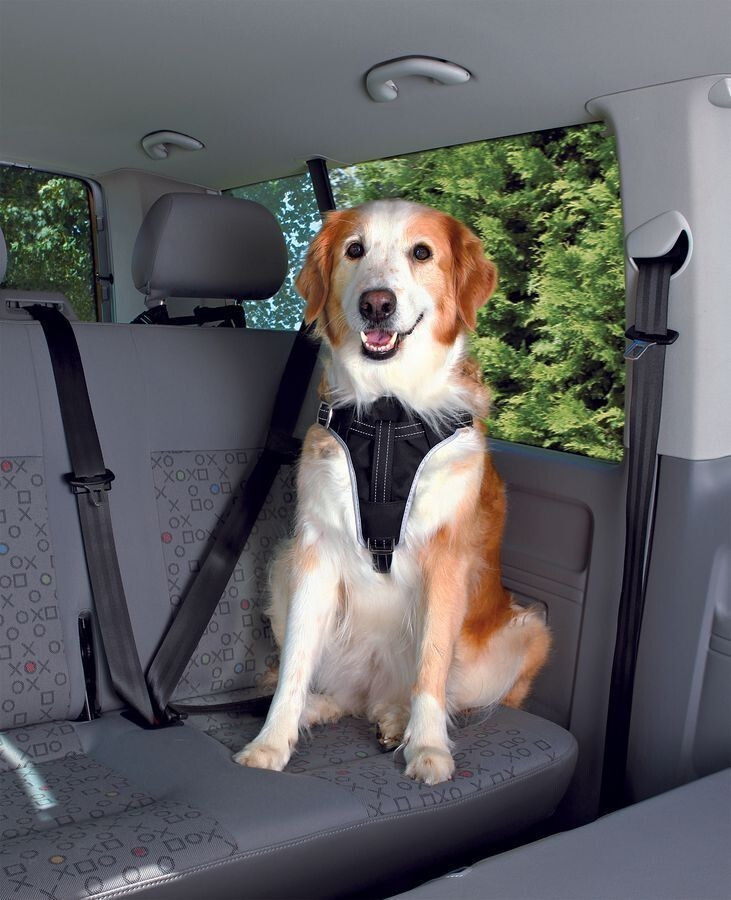 Trixie Harnais de voiture pour chien M Trixie Harnais de voiture pour chien M