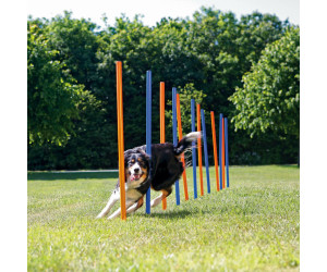 Trixie Agility Slalom 12 Stangen 115 X 248 3 Cm Ab 29 99