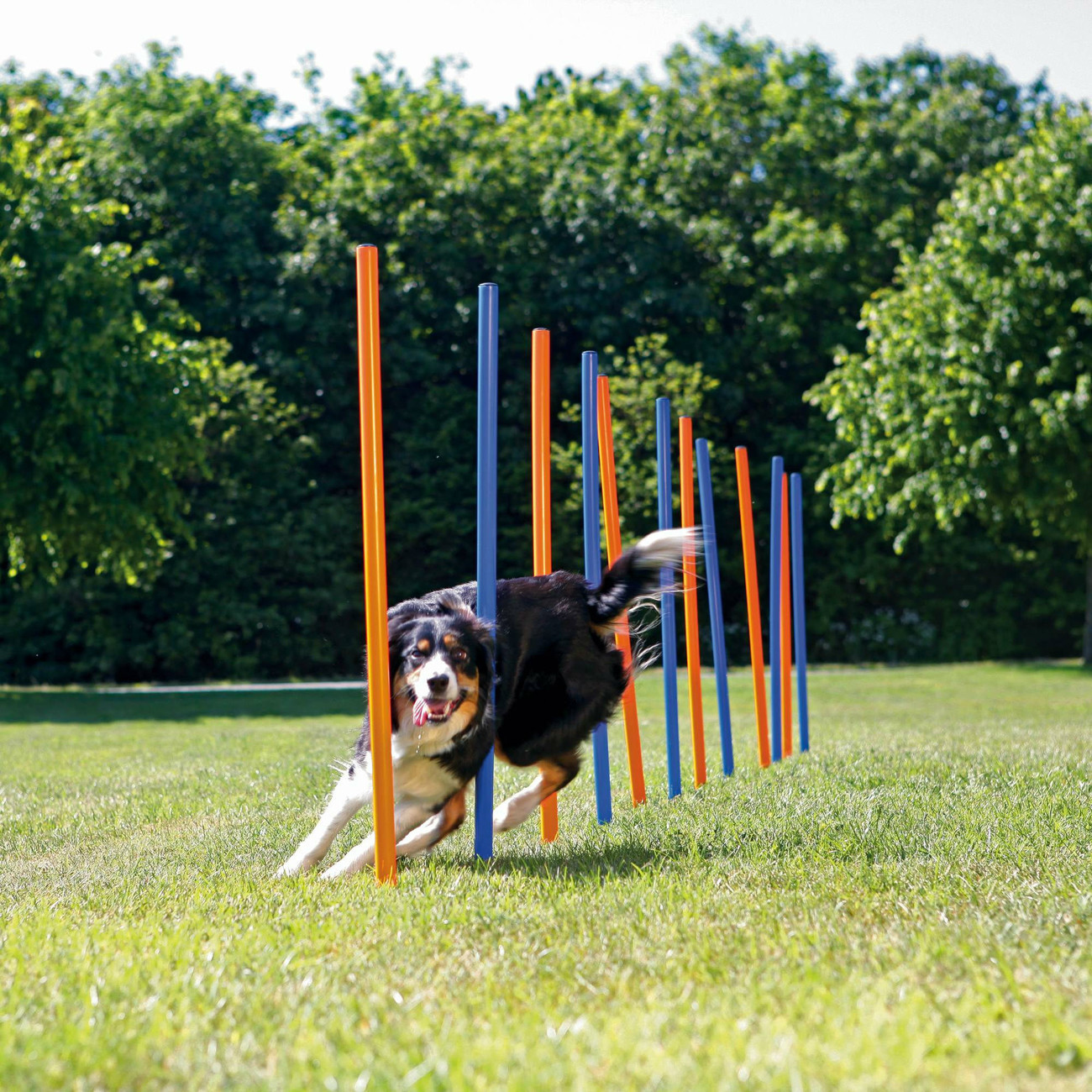 Trixie Agility Piquets de slalom 115 cm x 3 cm