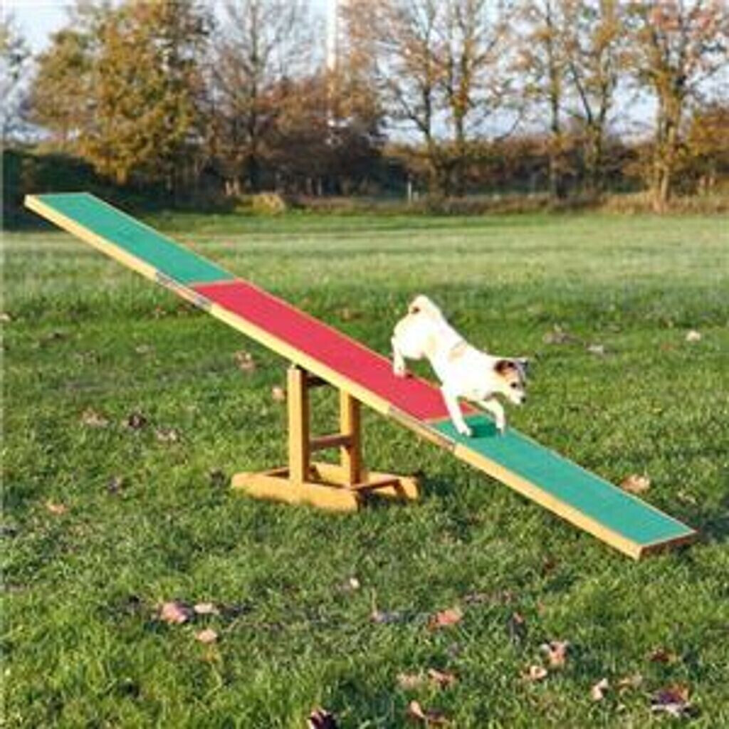 Trixie Balançoire agility Trixie Balançoire agility