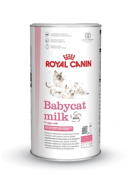 Royal canin kitten 20kg on sale