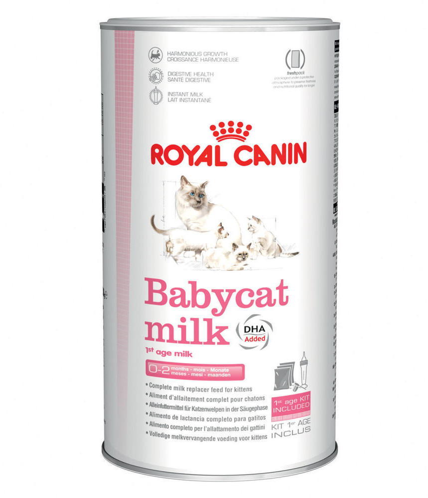 Royal Canin Vital Milk Chaton (300 g)