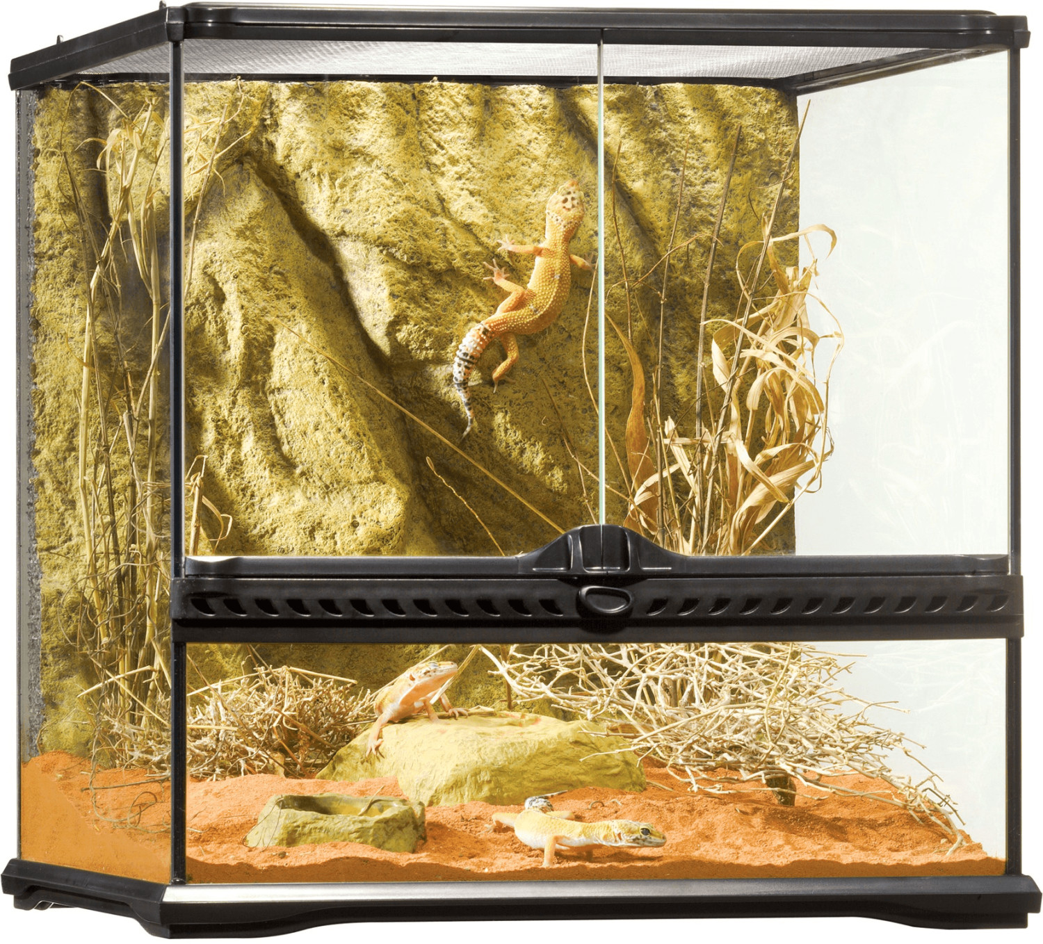 Exo Terra Terrarium naturel Small/Wide 45 x 45 x 45 cm (PT2605)