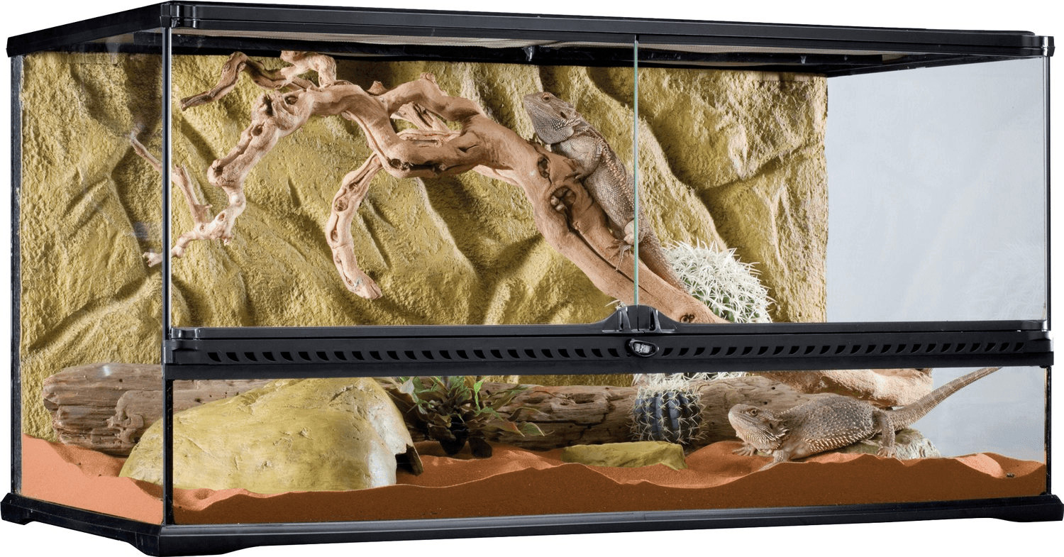 Exo Terra Terrarium naturel Large/Wide 90 x 45 x 45 cm (PT2613)