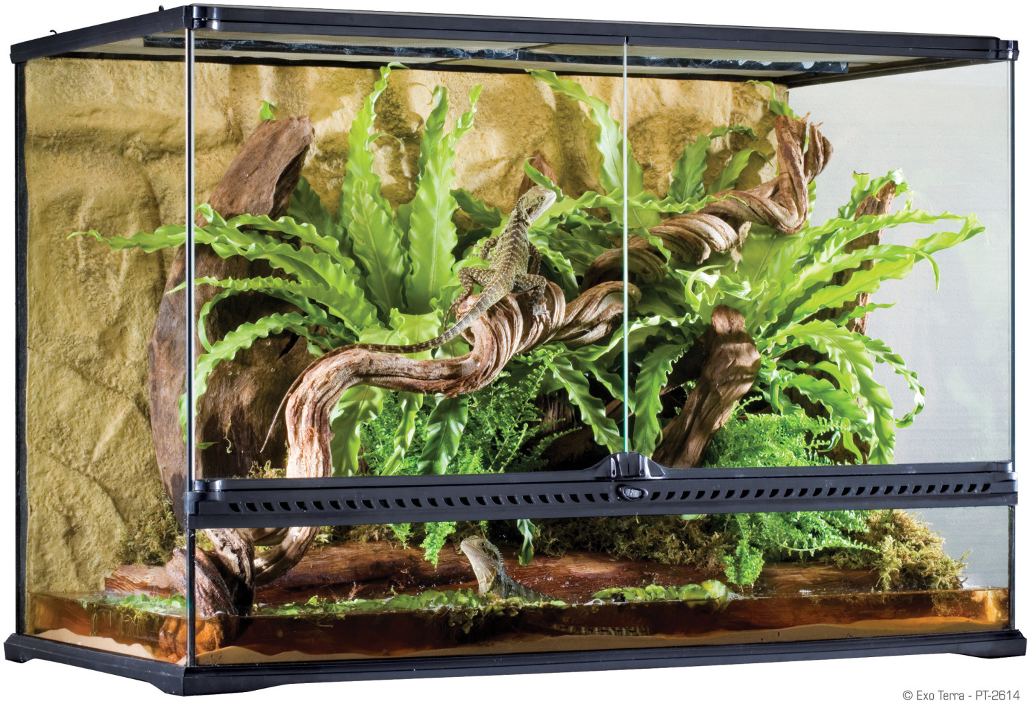 Exo Terra Terrarium naturel Large/Tall 90 x 45 x 60 cm (PT2614)