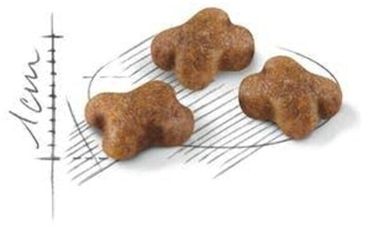 Royal Canin Croquettes pour chat 10 kg Royal Canin Croquettes pour chat 10 kg