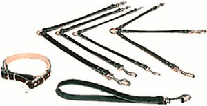 Trixie Accouple en cuir Basic taille L-M (35 cm x 18 mm)