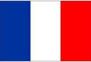 Handycop Drapeau de la France 90 x 150 cm