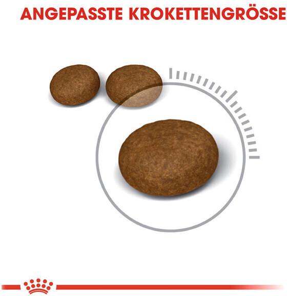 Royal Canin Croquettes pour chat 4 kg Royal Canin Croquettes pour chat 4 kg