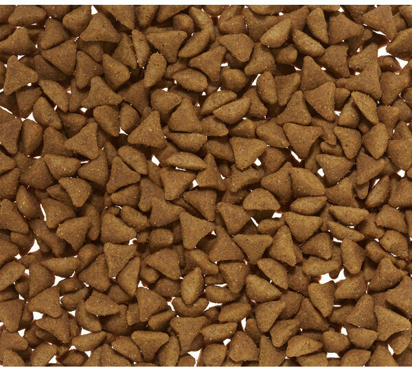Royal Canin Croquettes pour chat 2kg Royal Canin Croquettes pour chat 2kg