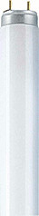 Osram L 36W/954-1