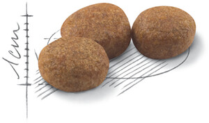 Royal Canin Croquettes pour chat 400 g Royal Canin Croquettes pour chat 400 g