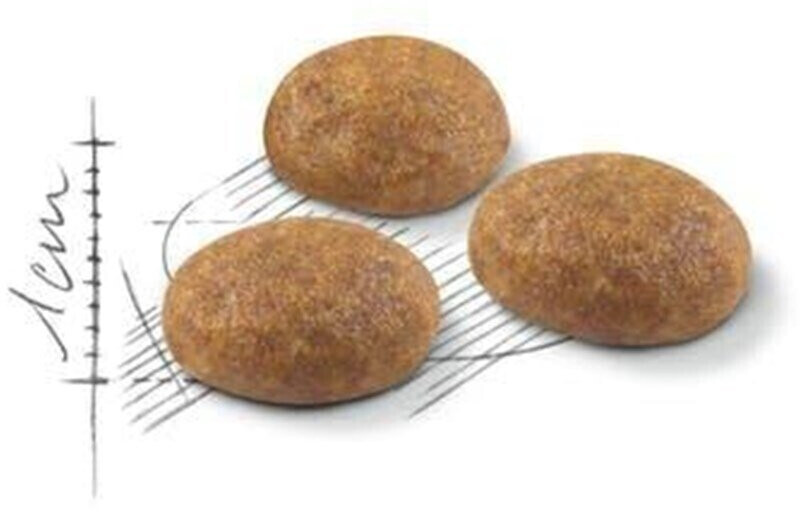 Royal Canin Croquettes pour chat 4kg Royal Canin Croquettes pour chat 4kg