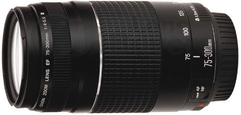 Canon EF 75-300mm f4.0-5.6 III