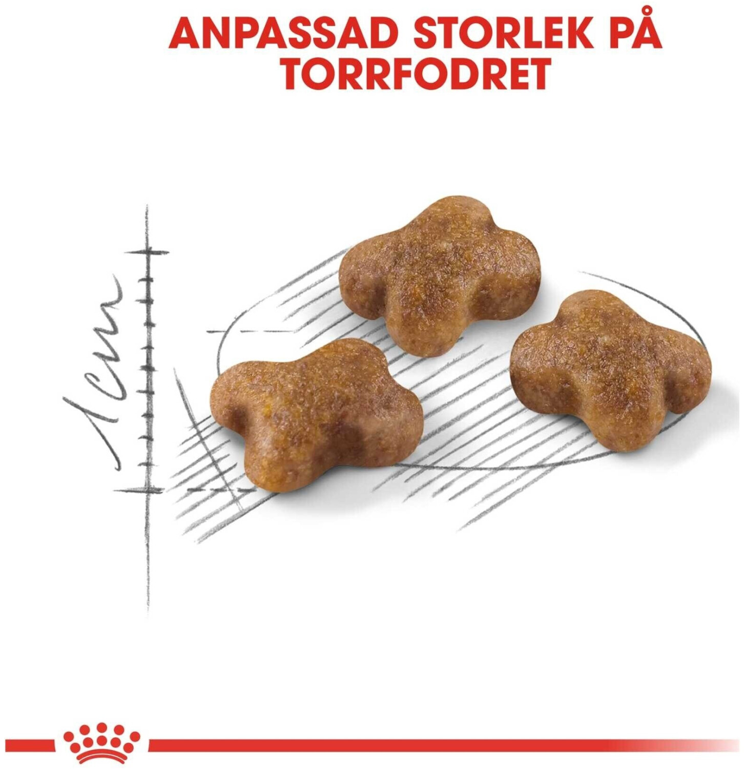 Royal Canin Croquettes pour chat 400 g Royal Canin Croquettes pour chat 400 g