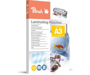 Peach 312365