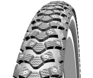 schwalbe winter 20