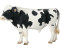 Schleich Holstein Bull