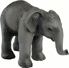 Schleich Indian Elephant Calf