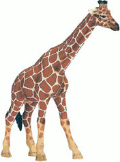 Schleich Giraffe Female (14320)