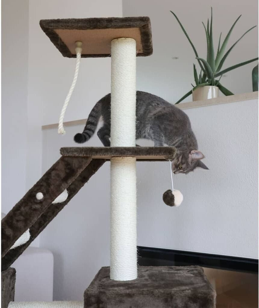 Maxi Pet Granat