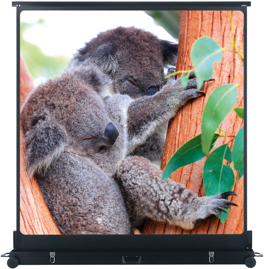 MEDIUM MovieLux Mobil 155x115