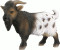 Schleich Mini Billy Goat