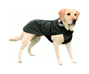 trixie dog coat