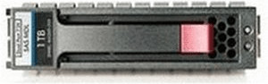 HPE SAS Dual Port 750Go (461135-B21)