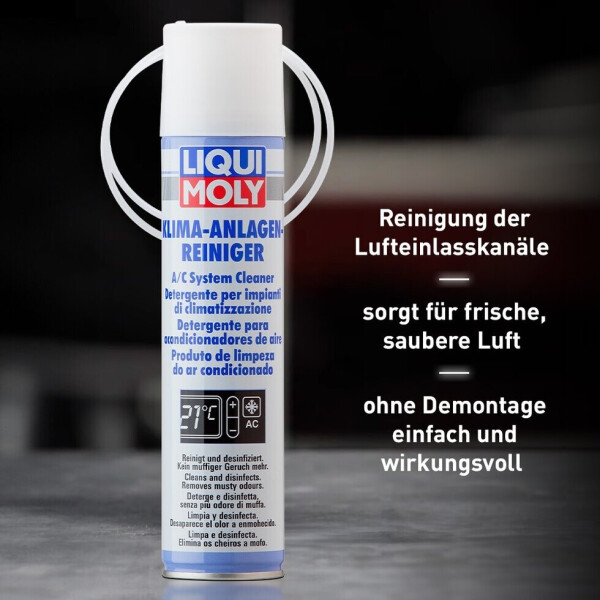 LIQUI MOLY Klimaanlagen-Reiniger (250 ml), Bild 3