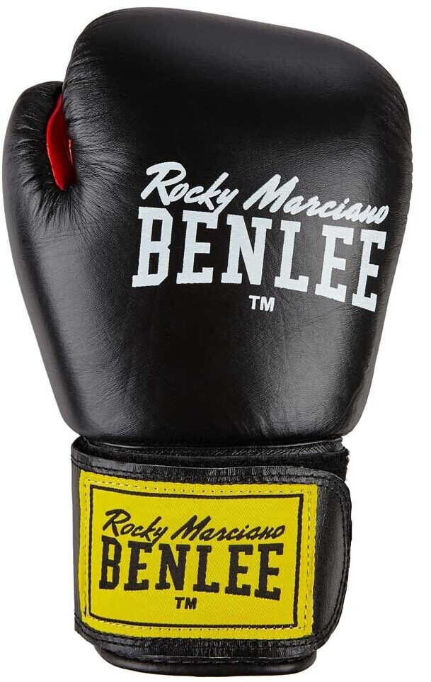 BenLee Fighter