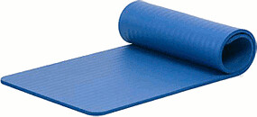 Togu Premium Theragym