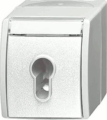Busch-Jaeger 2733 SLW-54