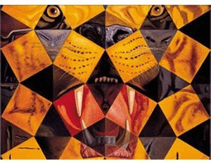 Editions Ricordi Dali - Cinquante Tigres (1000 pièces)
