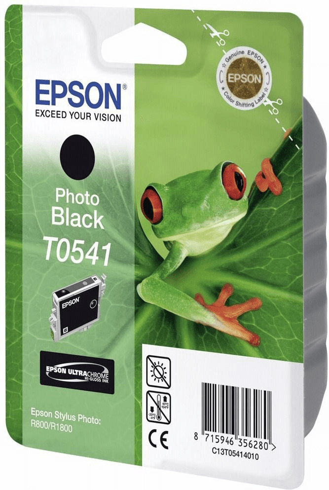 Epson T0541 noir photo