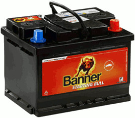 Banner 55519 Starting Bull 12V 55Ah 450A Autobatterie, Starterbatterie, Boot, Batterien für