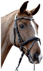 HKM Bridon frontal en V