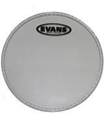 Evans Genera Resonant 6"