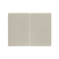 Berker 14350002